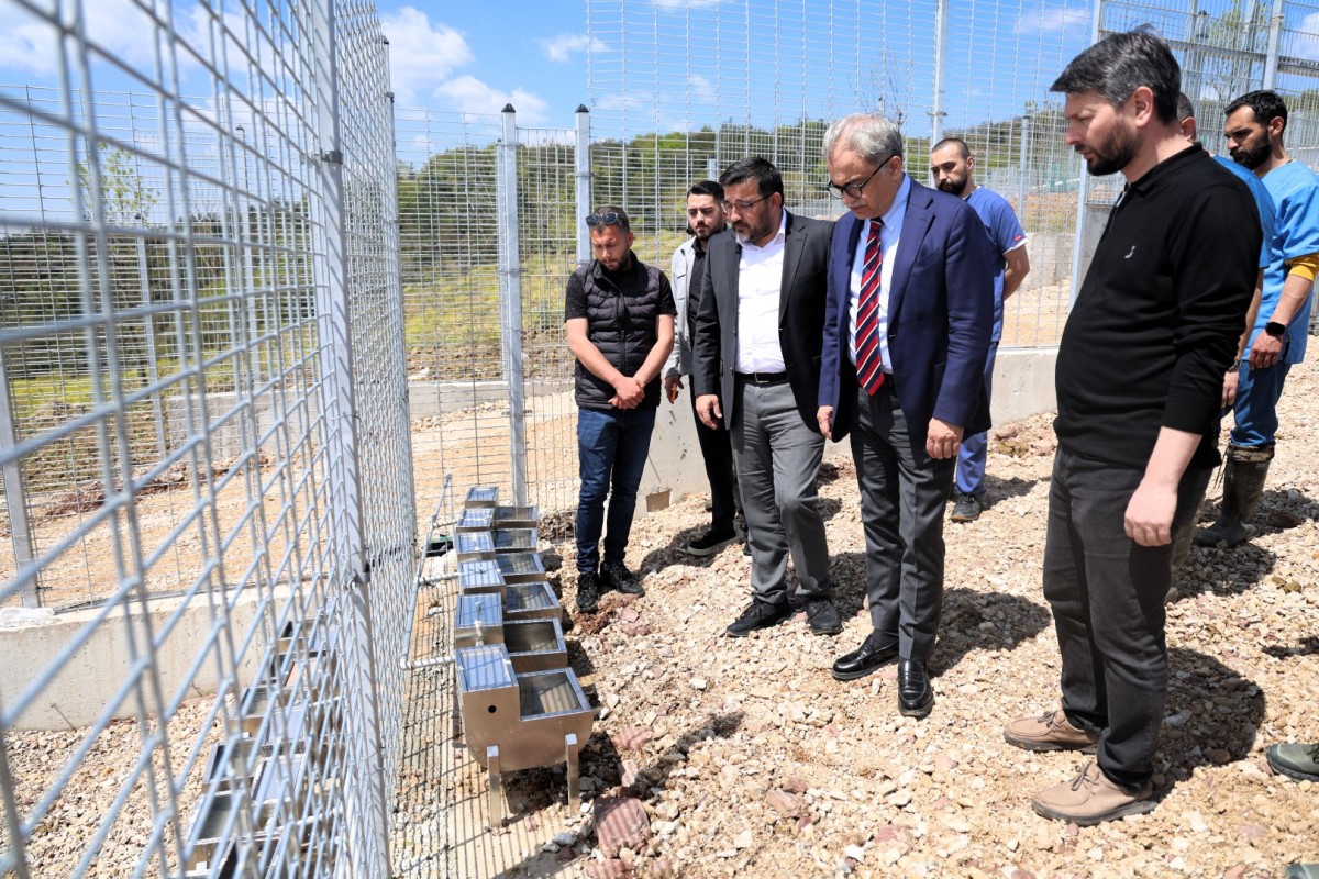 Büyükşehir’den sahipsiz köpeklere yeni yuva